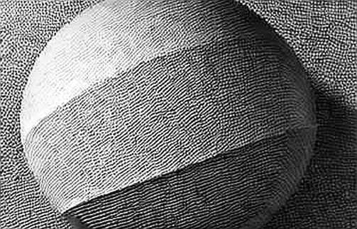 The Long-Term Holder Paradox: Fidelity's Data and the Institutional Signal That Isn't The Long-Term Holder Paradox: Fidelity's Data and the Institutional Signal That Isn't
