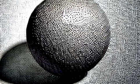 The Signal in the Void: When Zero Data Speaks Louder Than Any Narrative The Signal in the Void: When Zero Data Speaks Louder Than Any Narrative