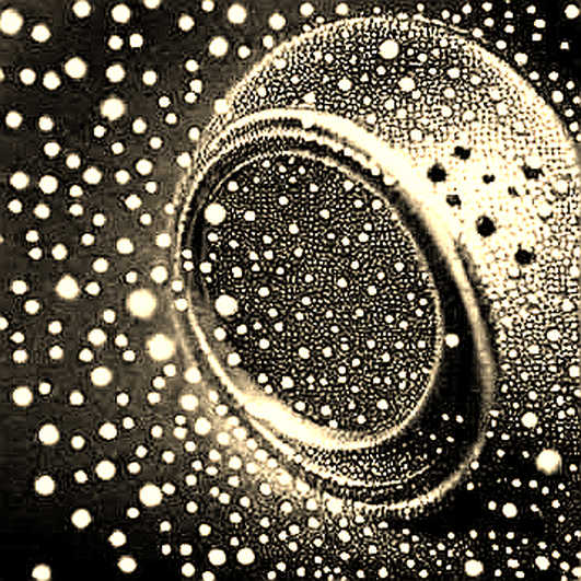 The $25 Million Signal: How USSS Just Rewrote the Rules of Crypto Forensics The $25 Million Signal: How USSS Just Rewrote the Rules of Crypto Forensics