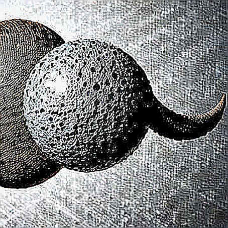 The Blob Saturation Paradox: Why Post-Dencun Layer2 Economics Are About to Flip The Blob Saturation Paradox: Why Post-Dencun Layer2 Economics Are About to Flip